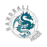 as handball mozé