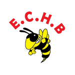 eclair chauve handball