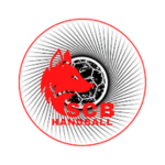 sc beaucouzé handball