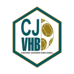cj vendée handball