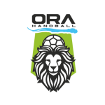 orée d'anjou handball